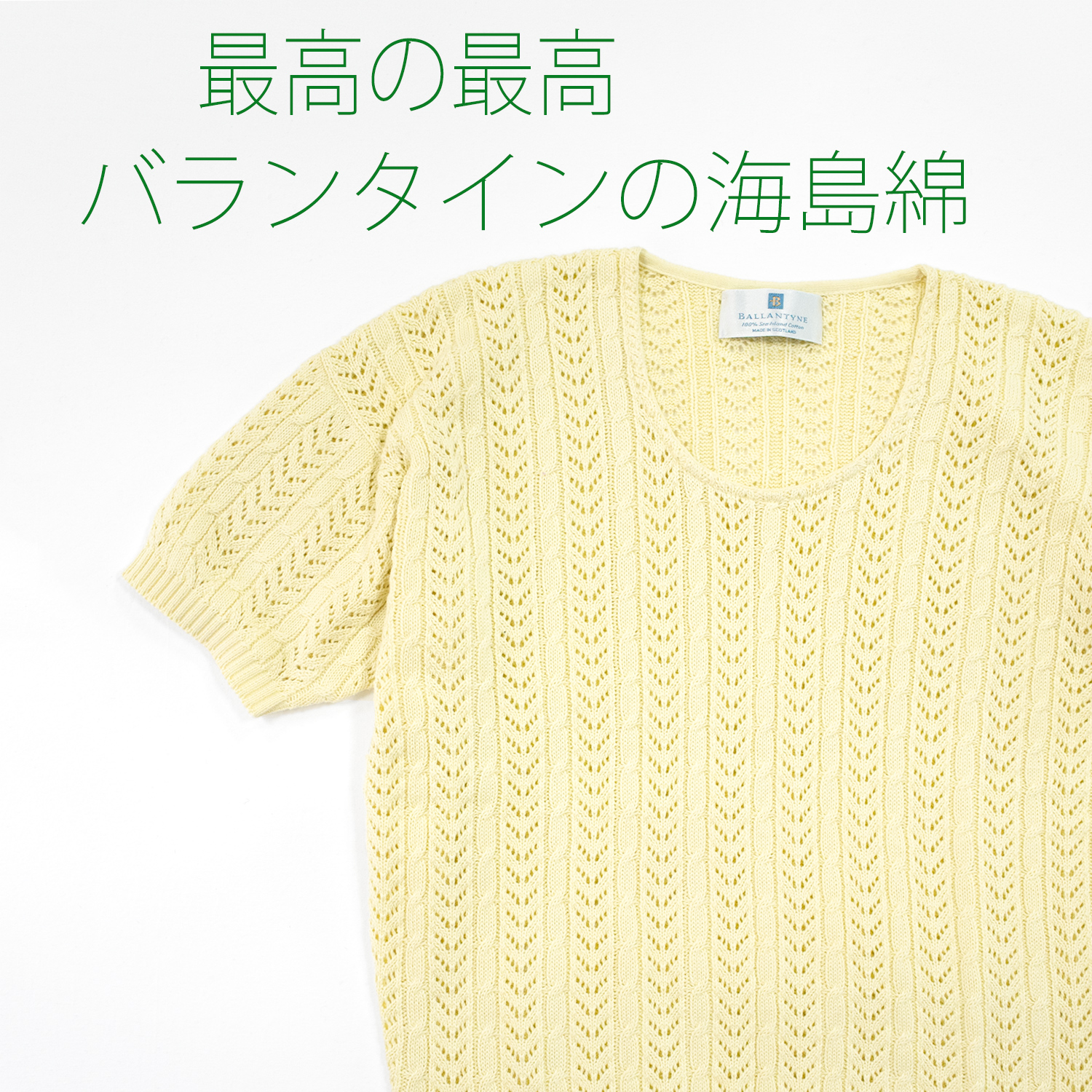 最高の最高バランタインの海島綿